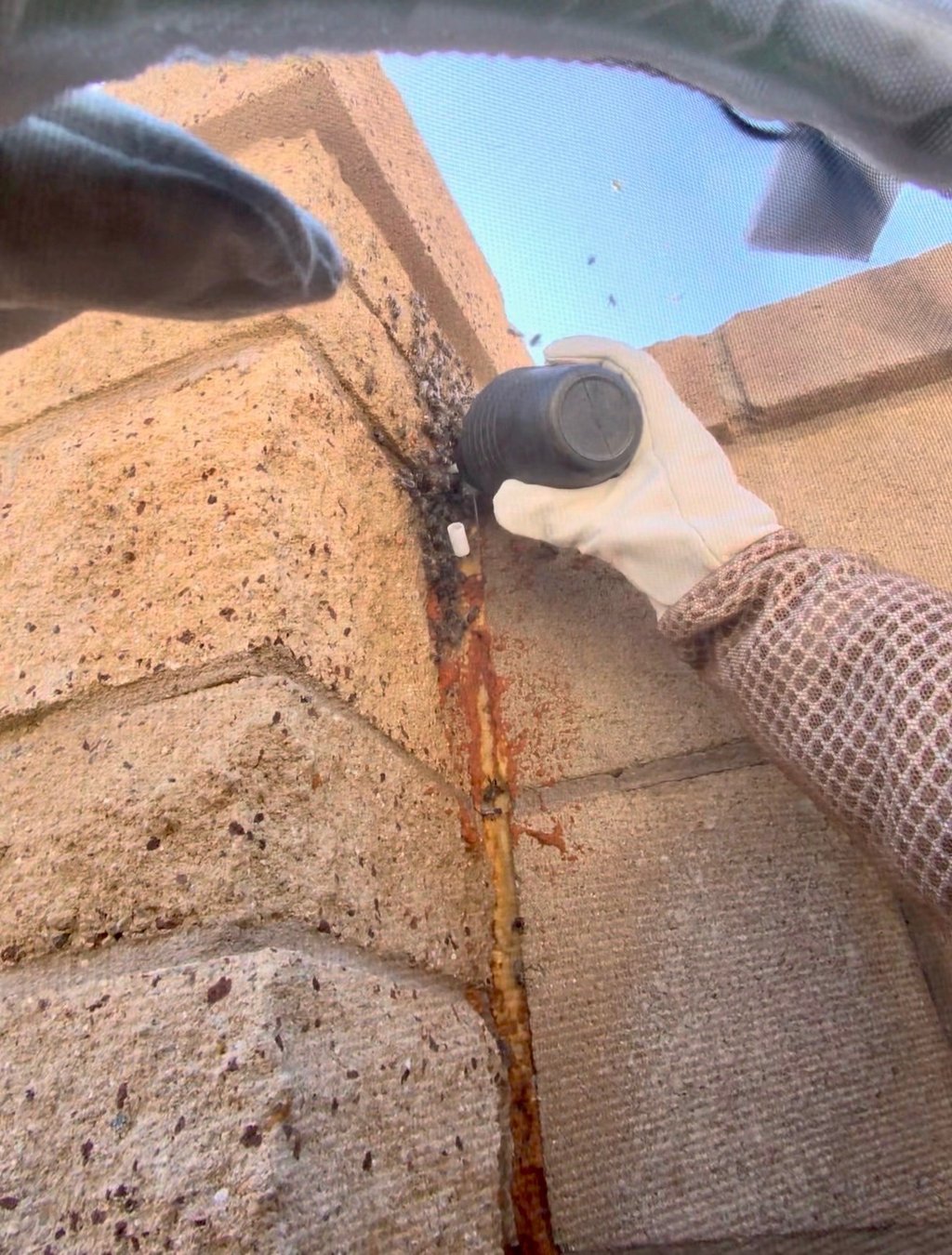 Bee treatment and control on block wall in Menifee CA Footprint Pest Management