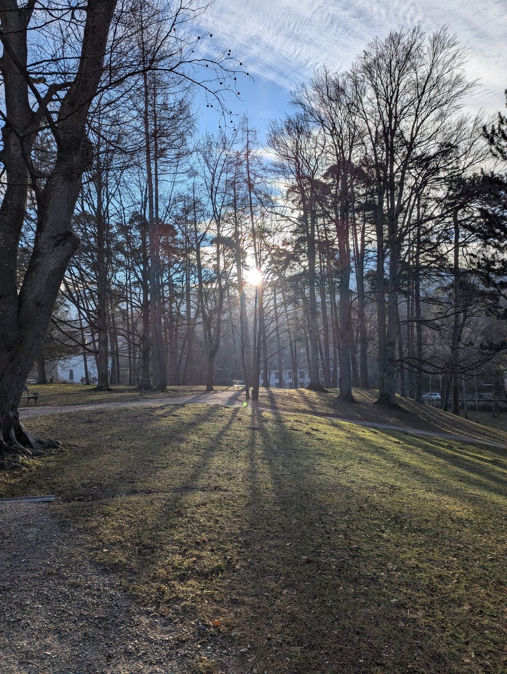 Sun filtering through the trees in the grounds of Ambras Castle, Innsbruck.