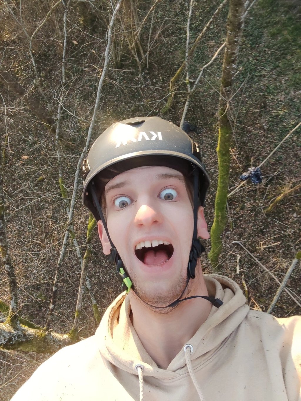 selfie de la cime d'un hêtre en forêt