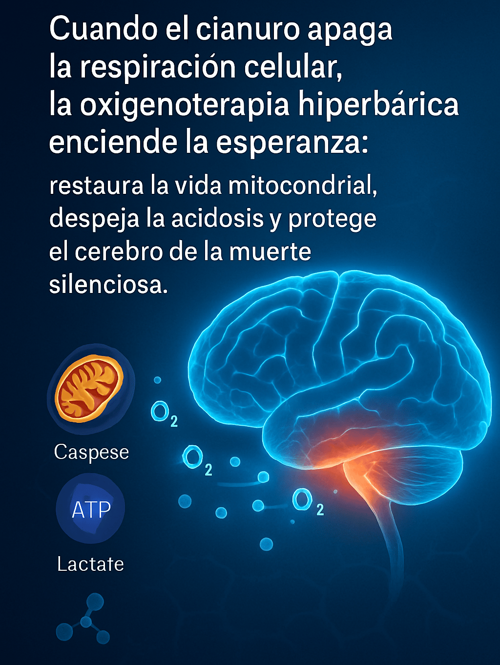 Potencia el tratamiento de la intoxicación por cianuro con Oxigenoterapia Hiperbárica