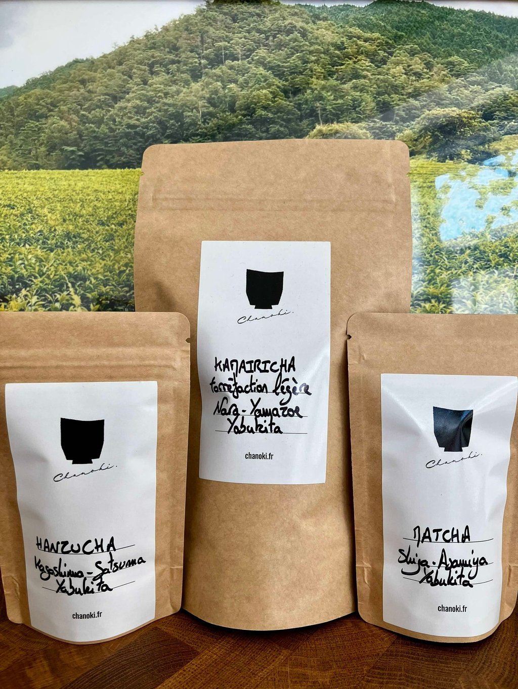Sachets de thé Chanoki