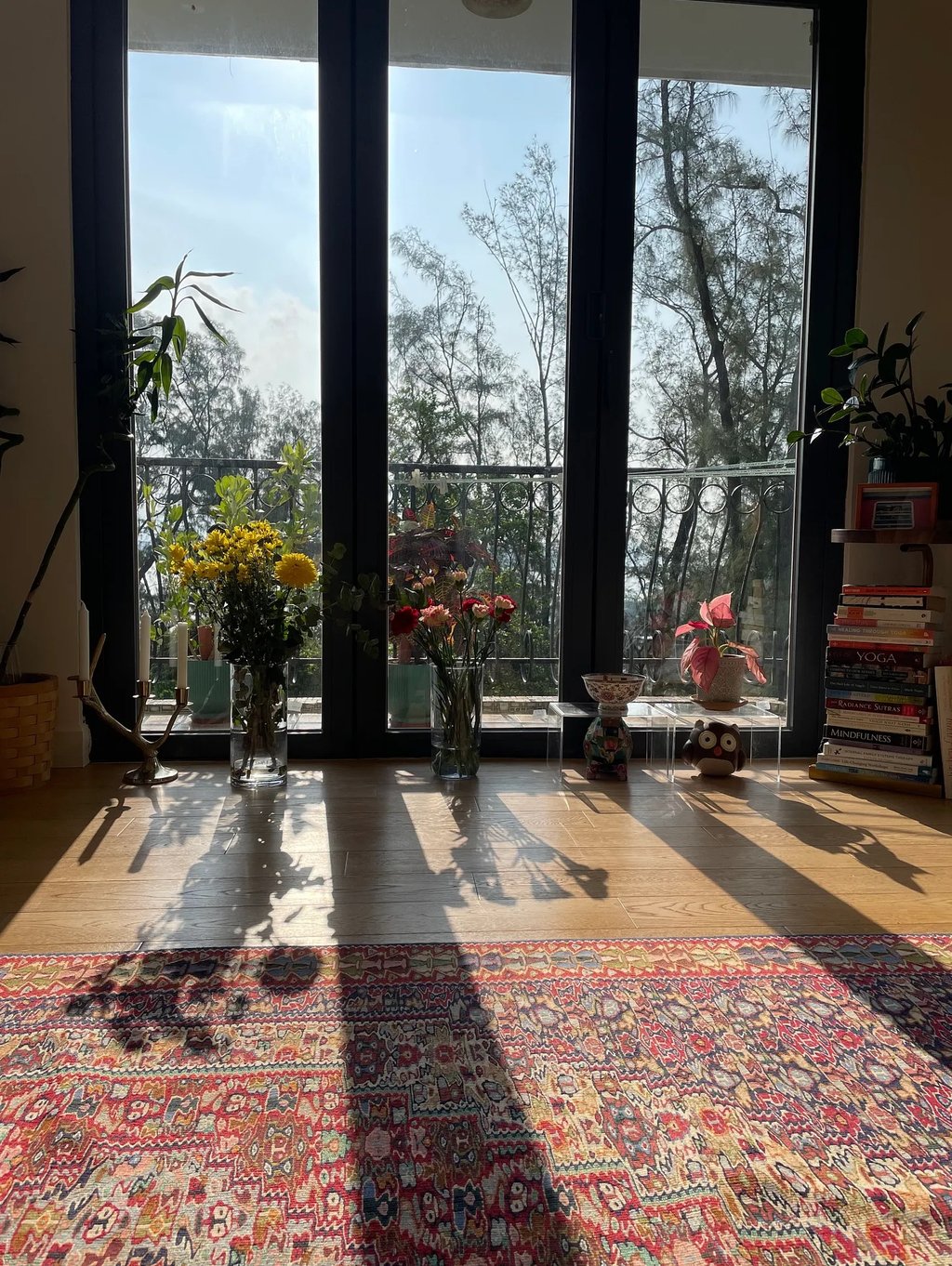 Flowers under sunlight in front of the window