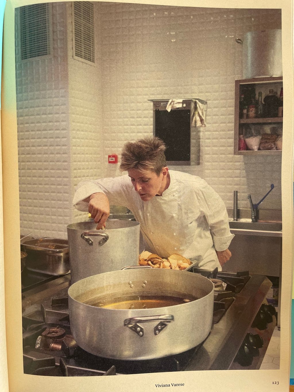 a page from bread is gold, viviana varese