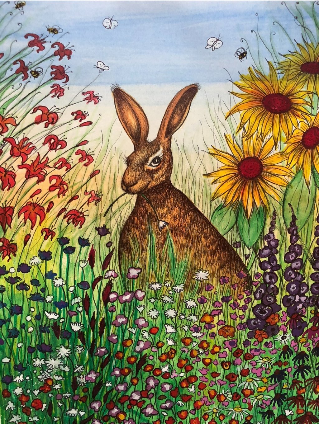 Sample picture of an illustration work linking to the illustrations collection.