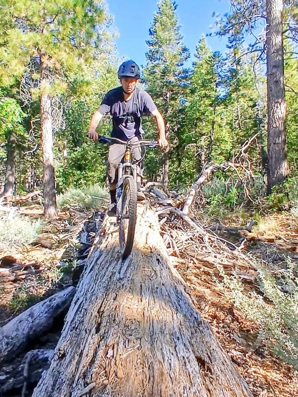 Mark Hower riding a mountain bike along the top of a large fallen log through a pine forest, demons