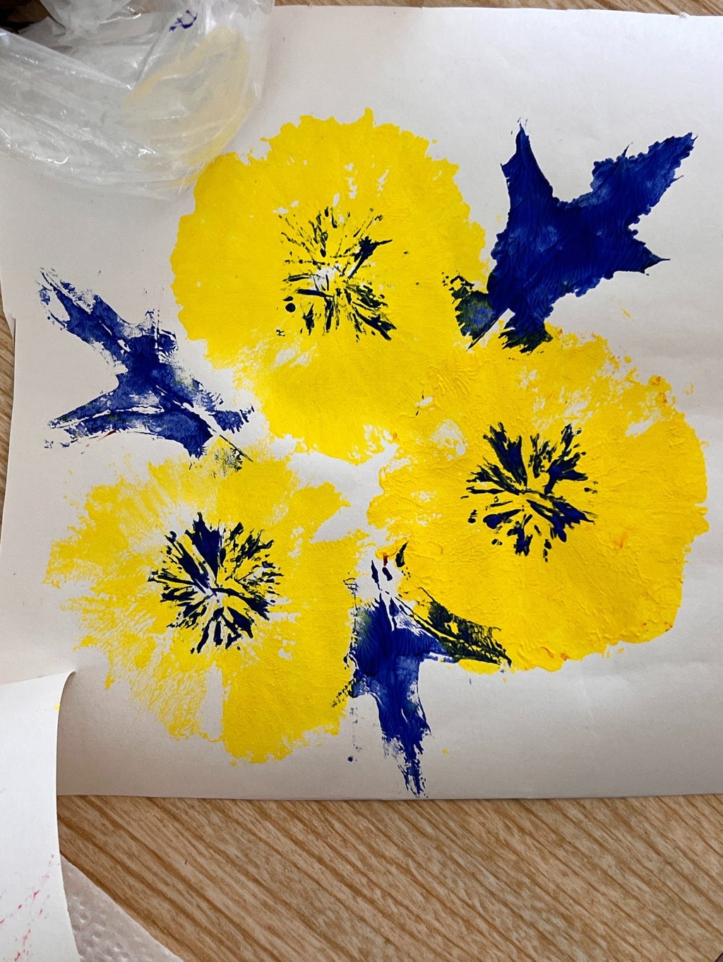 Resultado do workshop Arte Para Todos com impressões botânicas de flores realizadas em Ourém.
