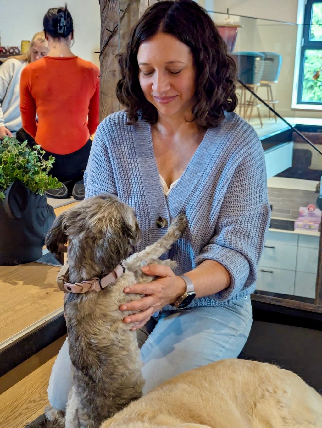 Hundephysiotherapie in Karlstein – Svenja Stoll behandelt einen Hund mit Shiatsu, Massage und Mobilisation