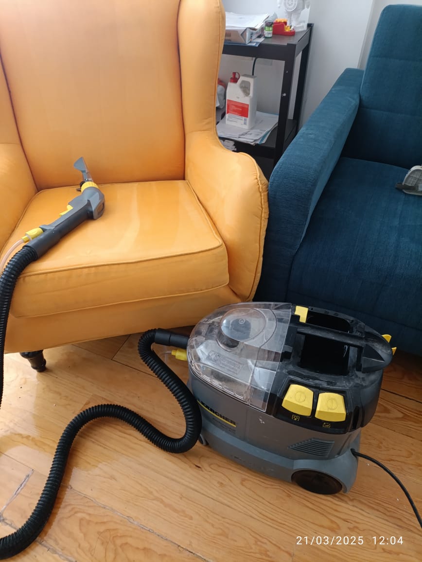 Limpieza profesional de salas y colchones