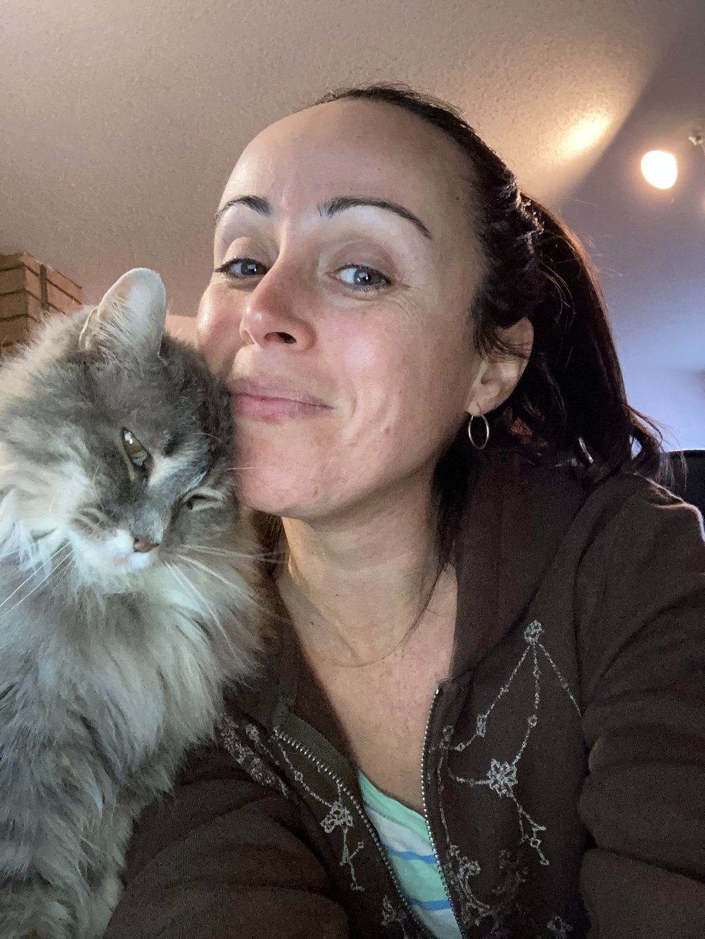 A gray and white cat snuggling with a woman