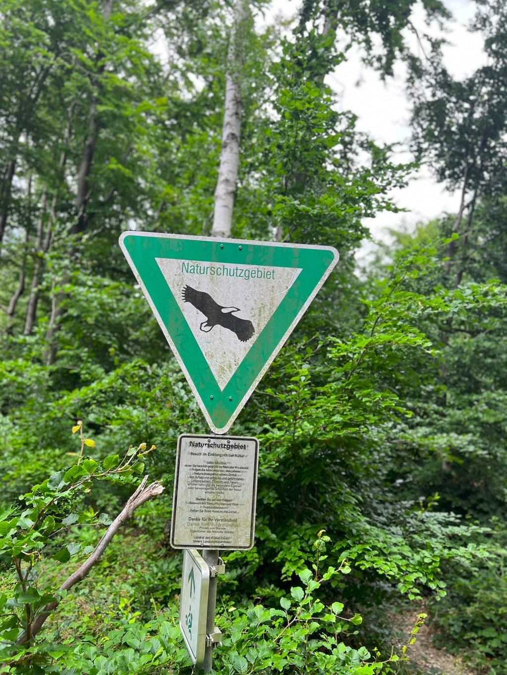 Infobord met aanduiding van beschermd natuurgebied aan de rand van het bos.