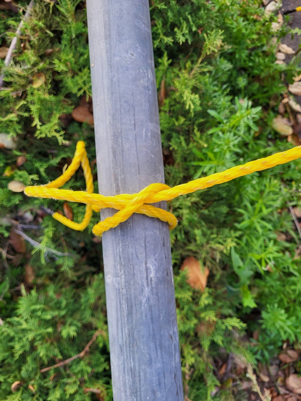 Clove hitch around a pipe with yellow 3/8" poly-line rope.