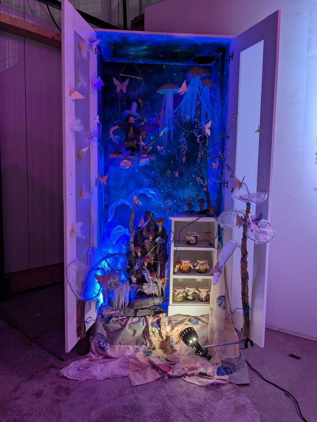 the wardrobe of lost seasons