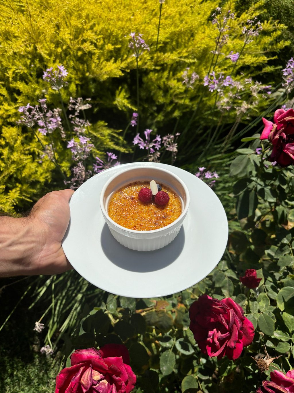 Crème Brûlée