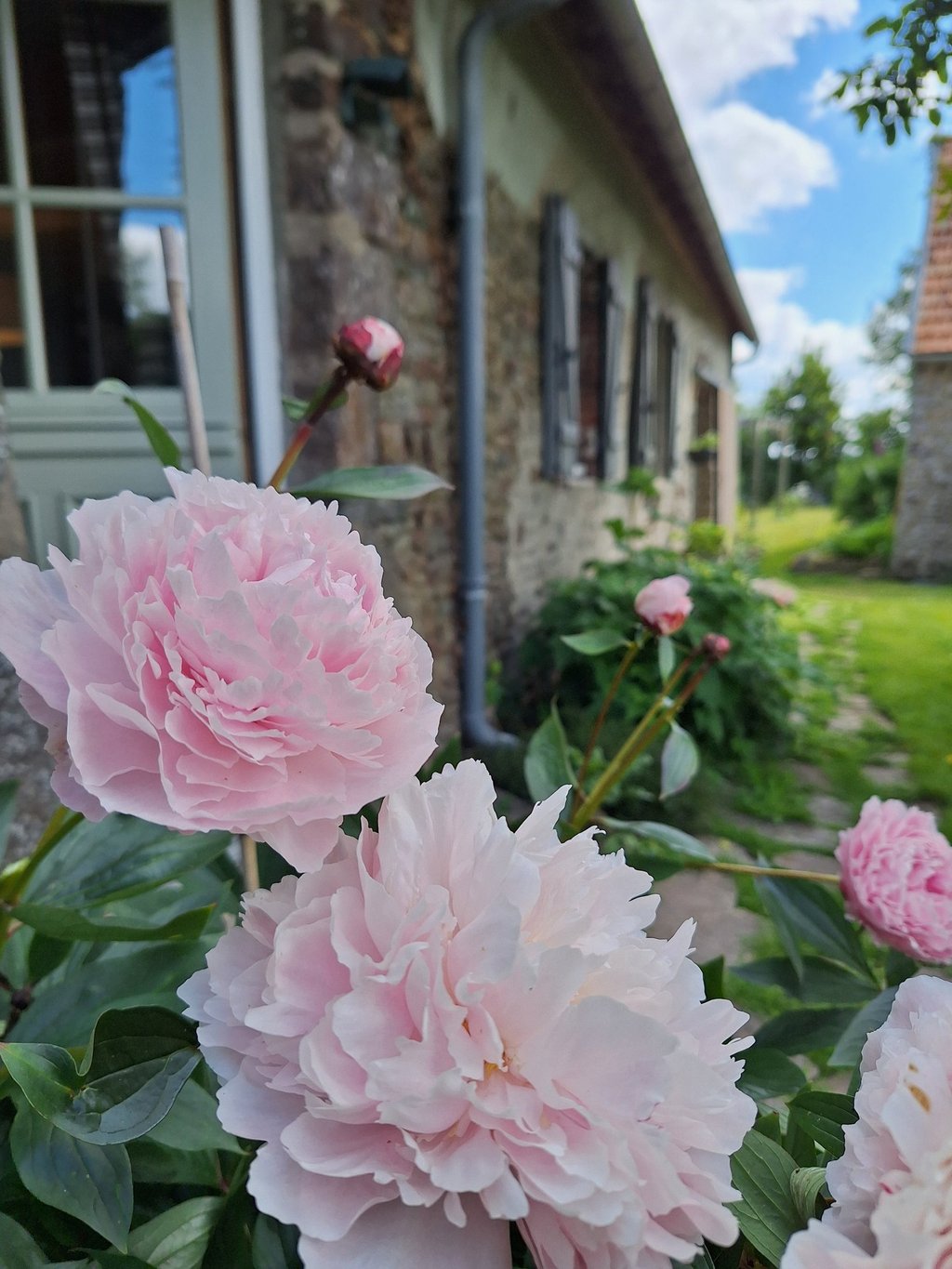 De tuin is elk seizoen anders.