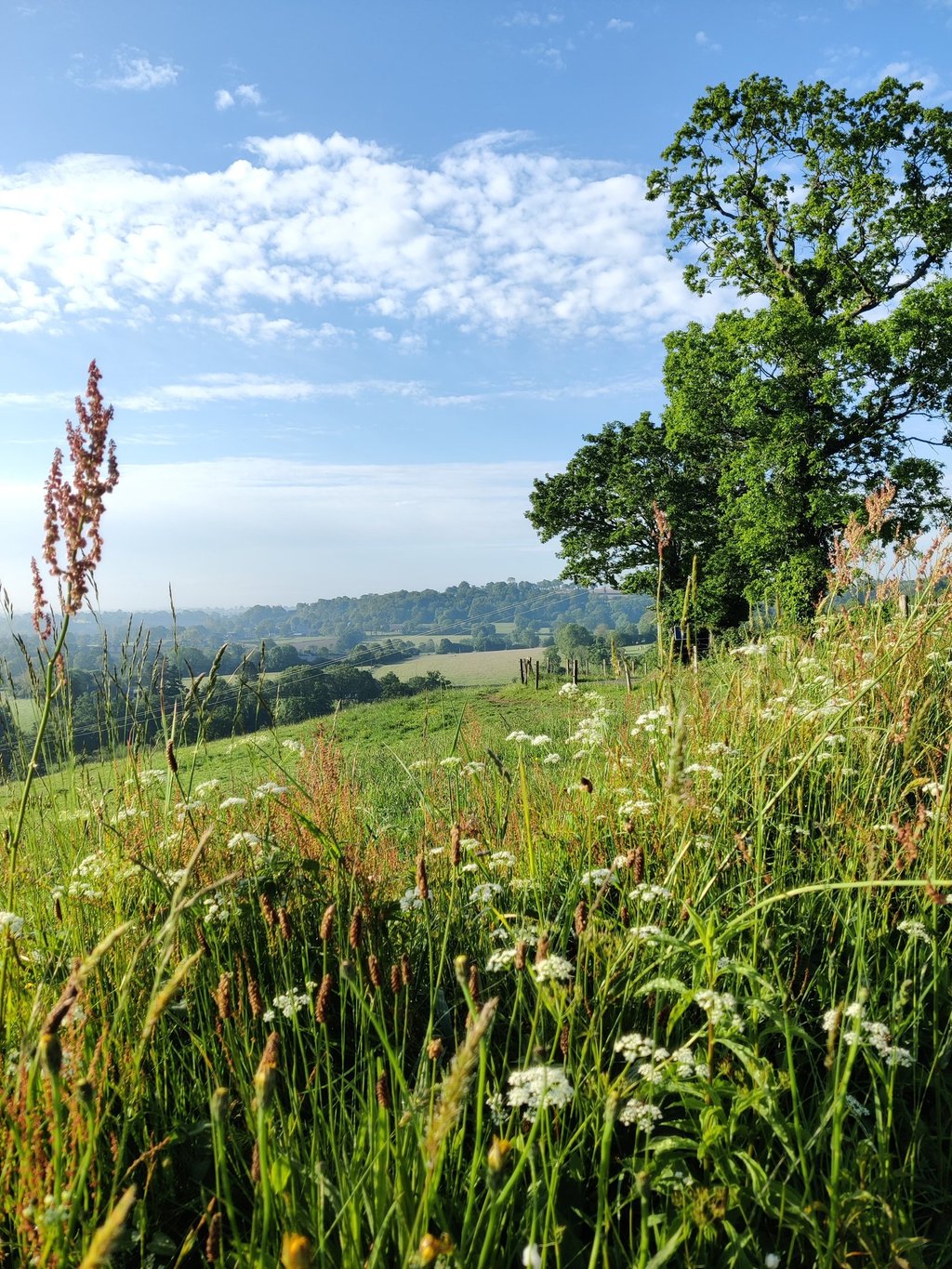 Het uitzicht vanaf de heuvels bij ons huis.