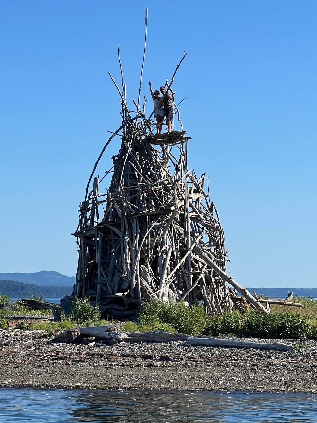 unique driftwood structure