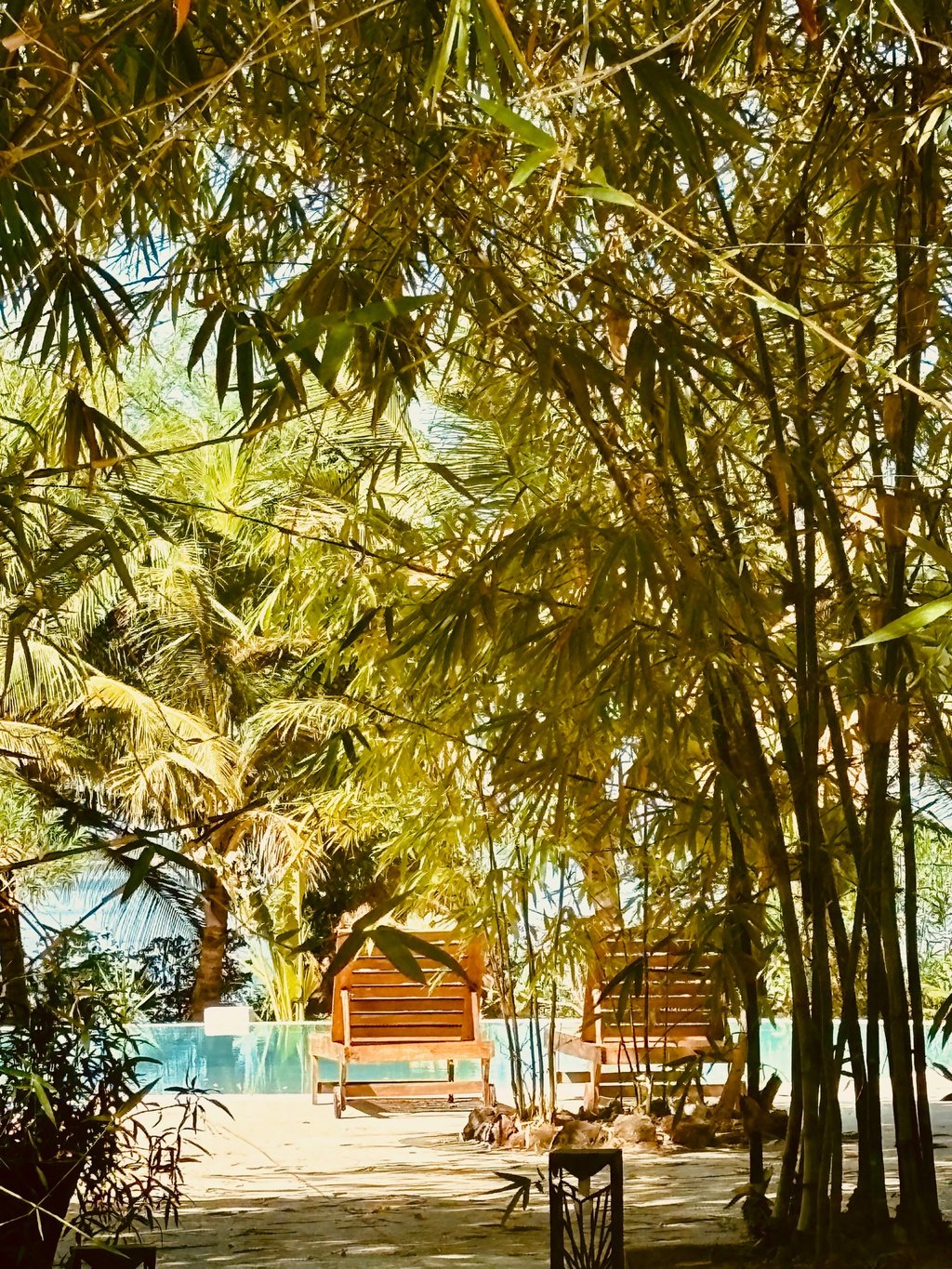 Vue de la piscine et du bolong dans le fond du boutique hôtel Maison Fimela au coeur du Sine Saloum