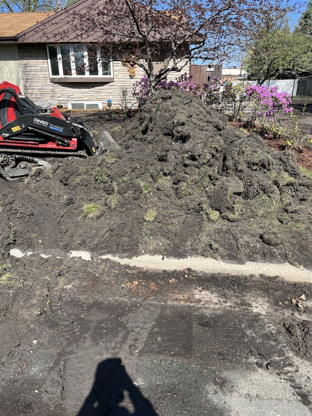 sod restoration at residential home in MN