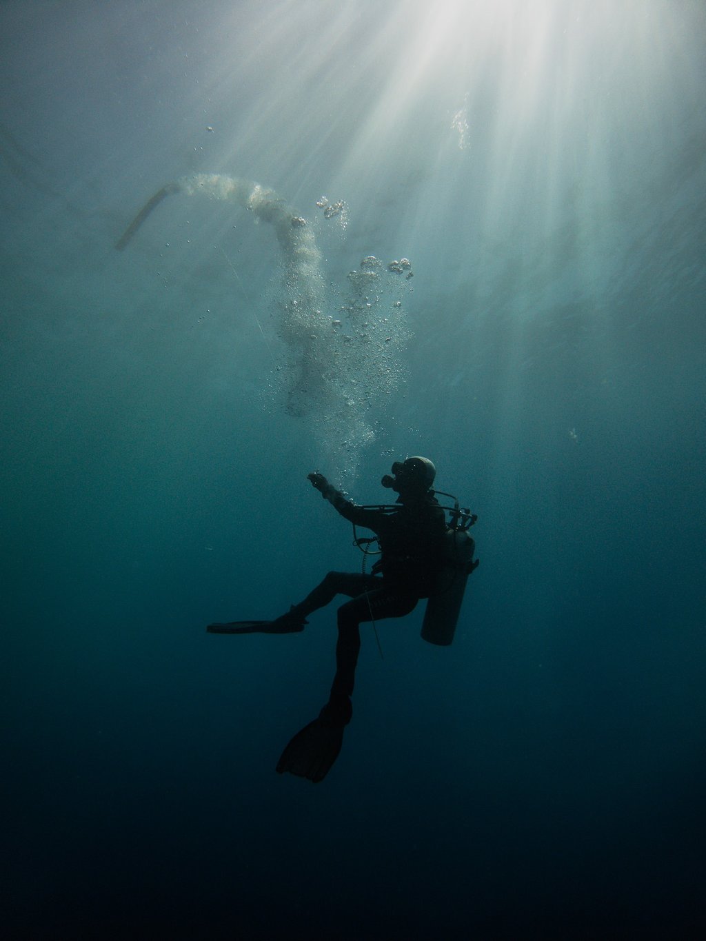 a person in a wetsuit is swimming in the water