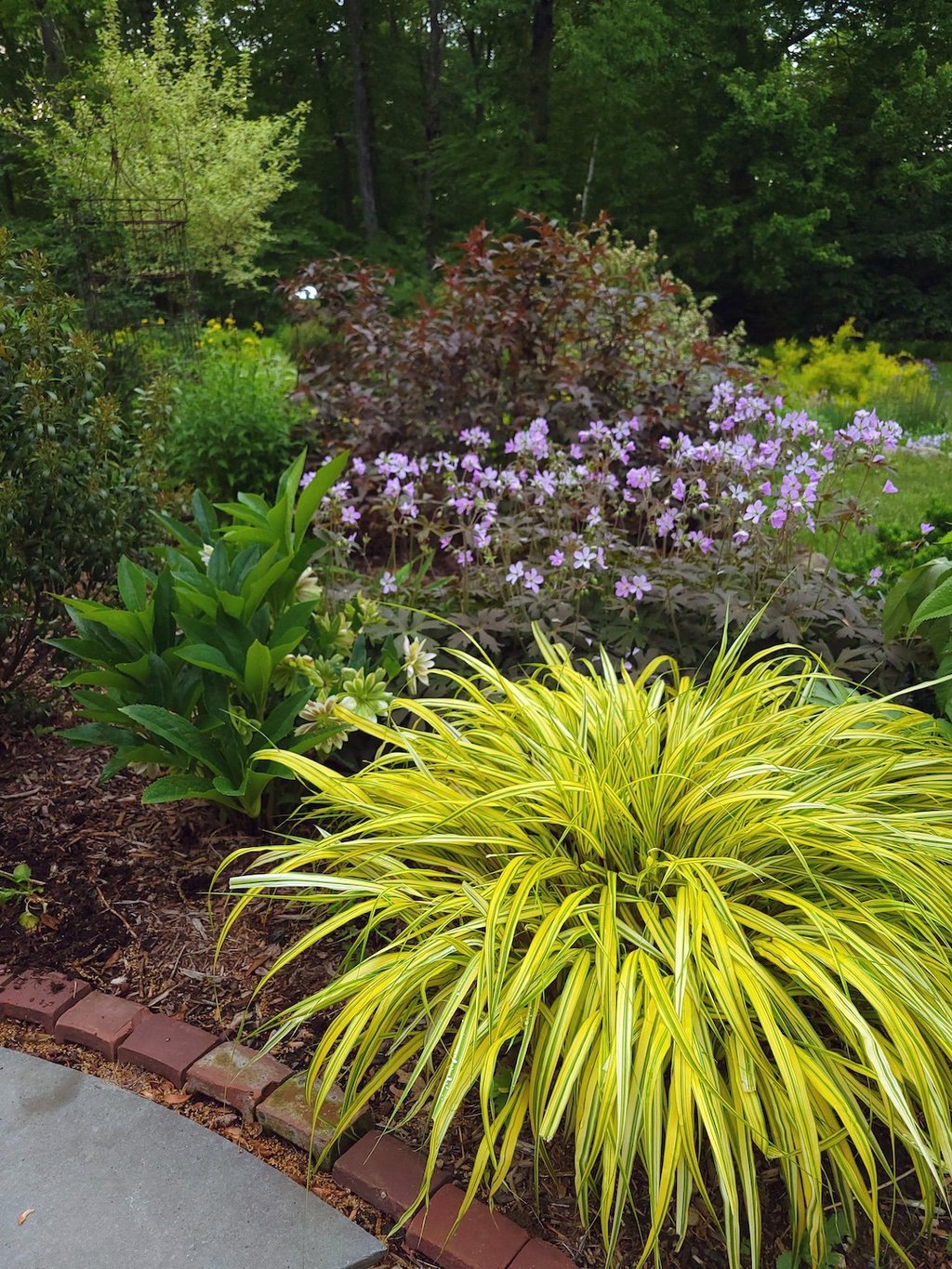 a garden with a bench and a bench in the middle of the garden