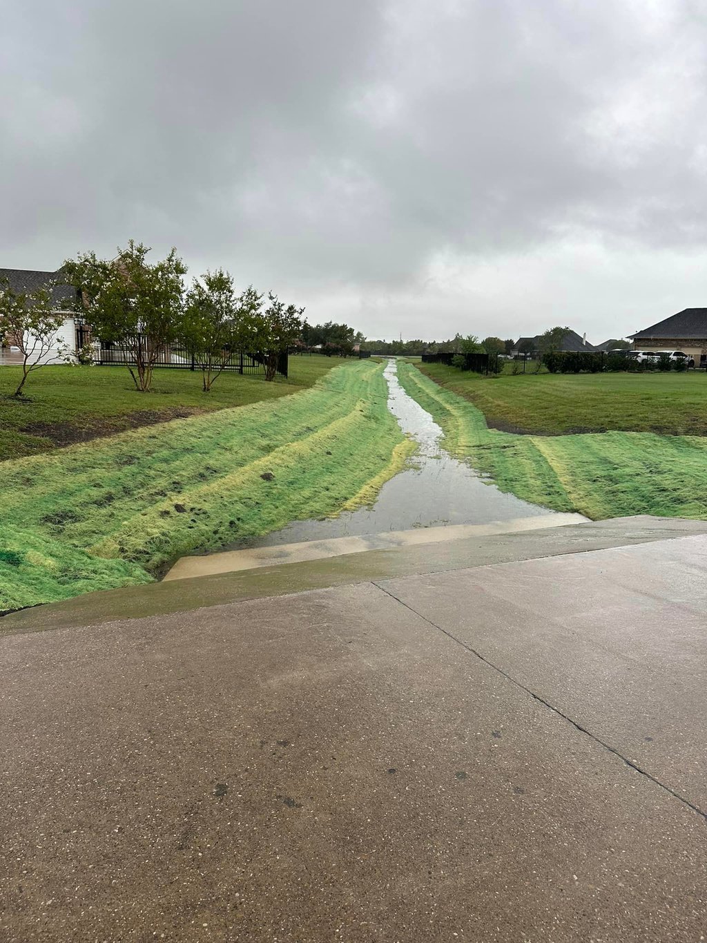 Grassy drainage with water runoff.