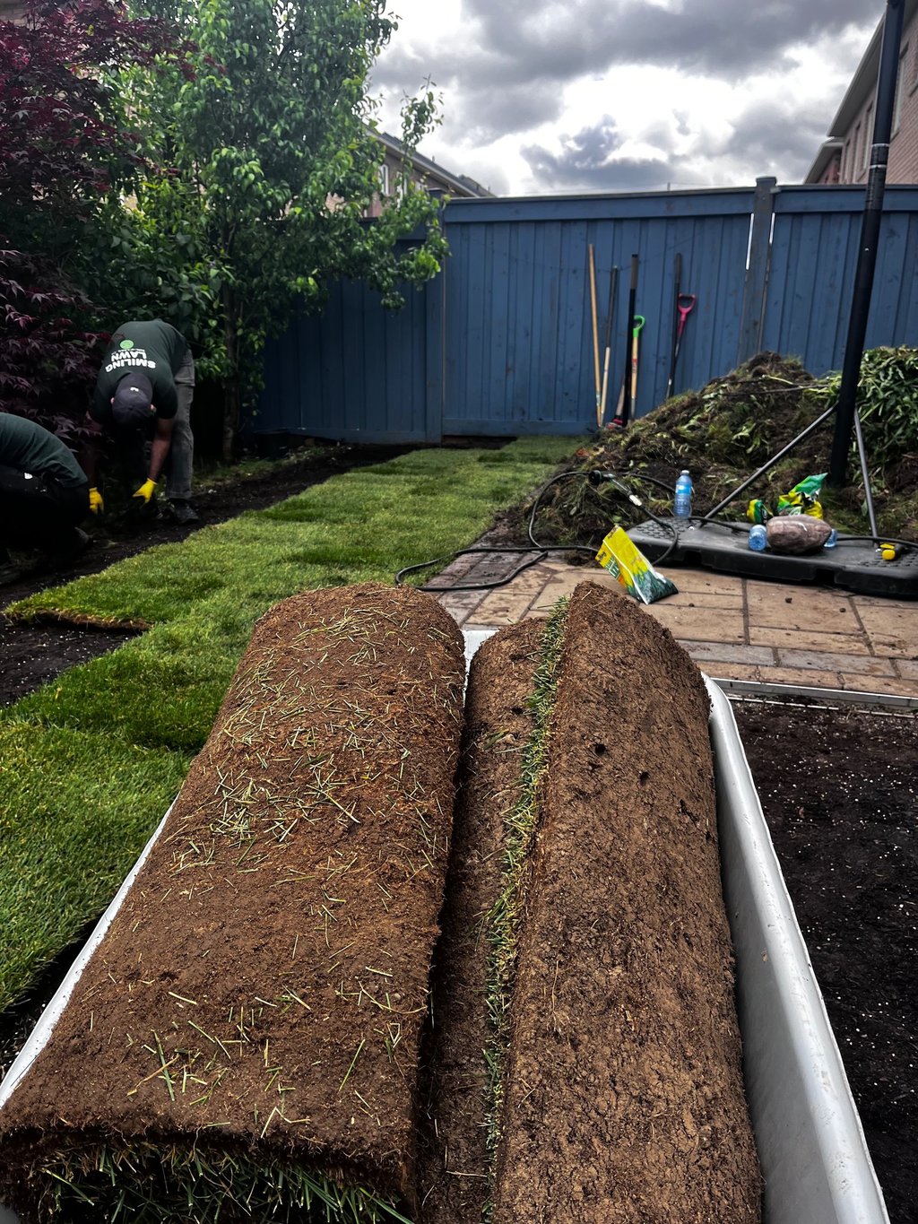Fresh sod installed in Mississauga backyard -- Smiling Lawn