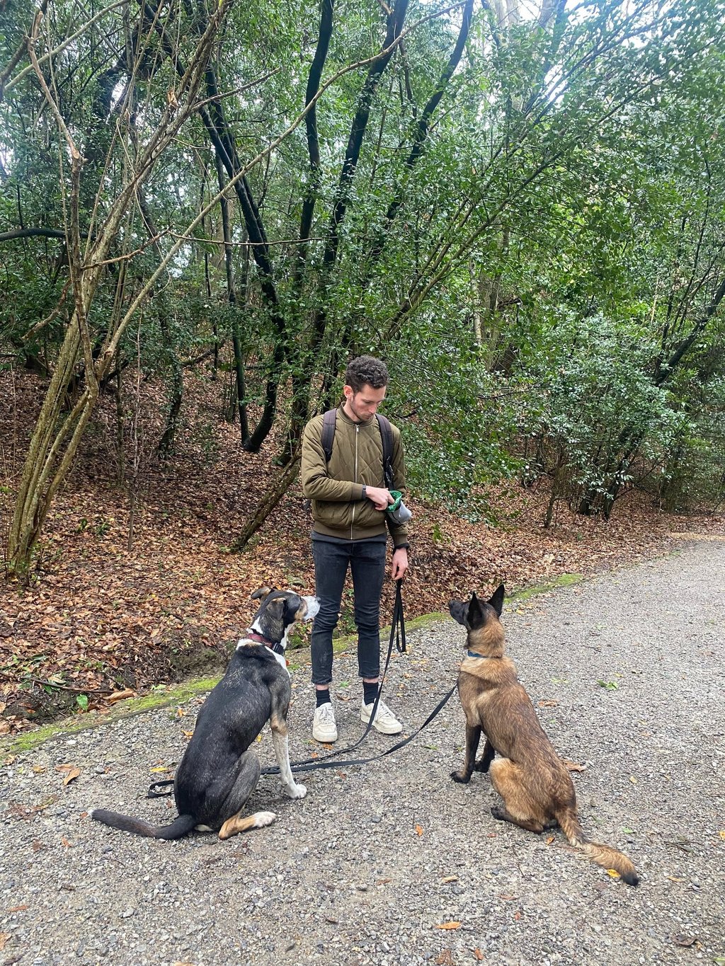 entrainement éducateur canin pendant une session d'éducation avec son chien à Bayonne, anglet 