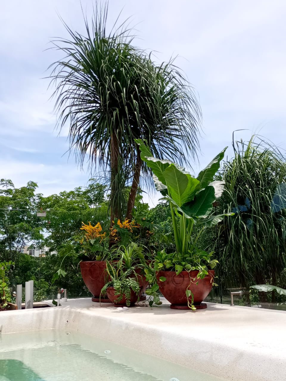 Macetas anilladas de fibra de vidrio