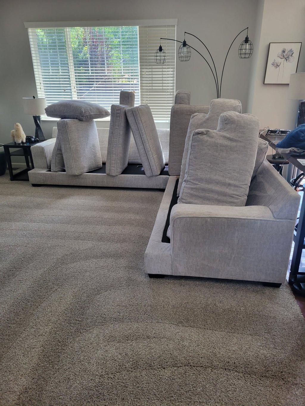 After Photo of Organic Carpet Cleaning & Organic Furniture Cleaning Results with King Organic Clean