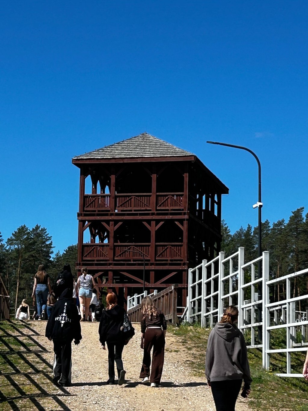 Supraśl, Podlasie, Kopna Góra, Żubr