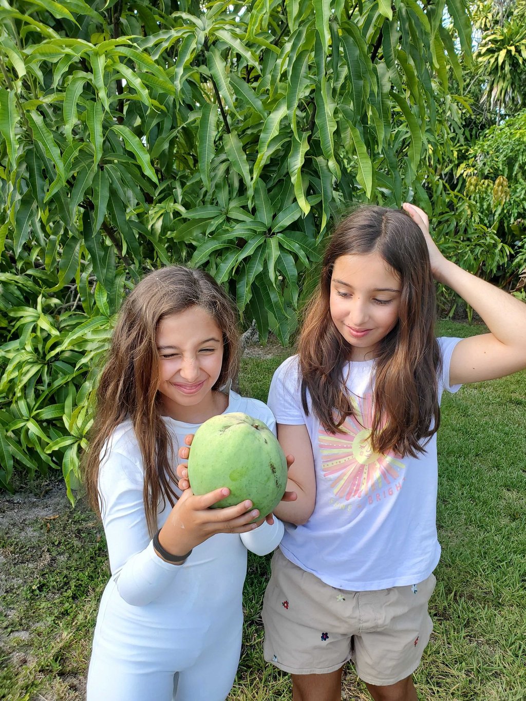 Two girls standing at Luro Grove, holding a large 'Venus' mango in front of a mango tree.