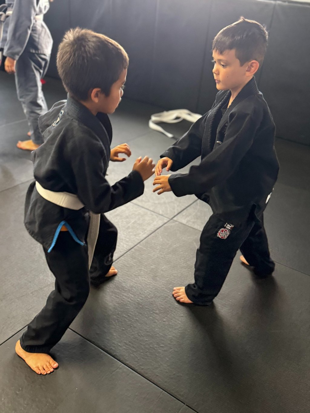 youth martial arts in kona, hawaii