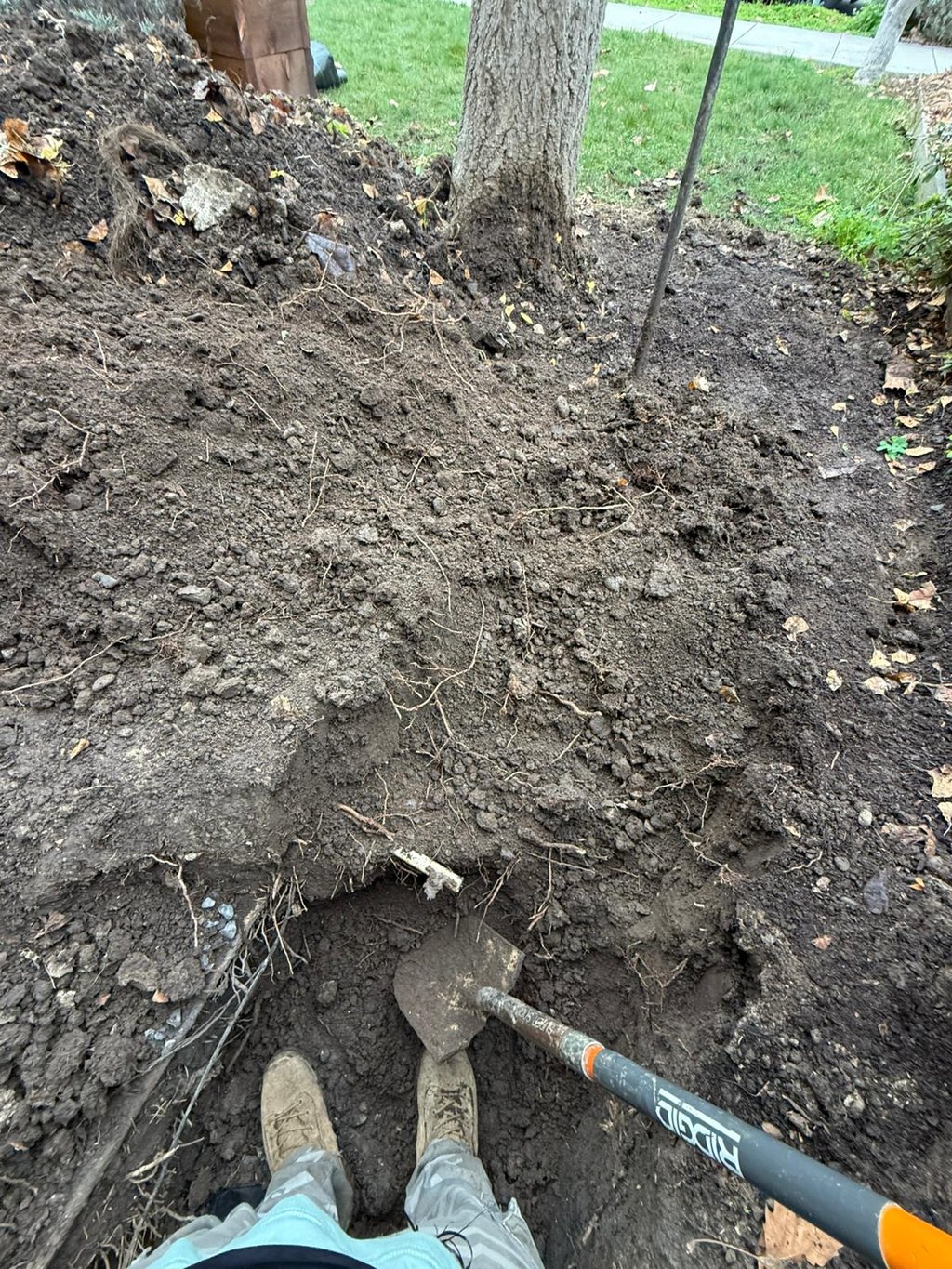 Photograph of a landscaper preparing to work in a garden, holding a shovel over a clean lawn, repres
