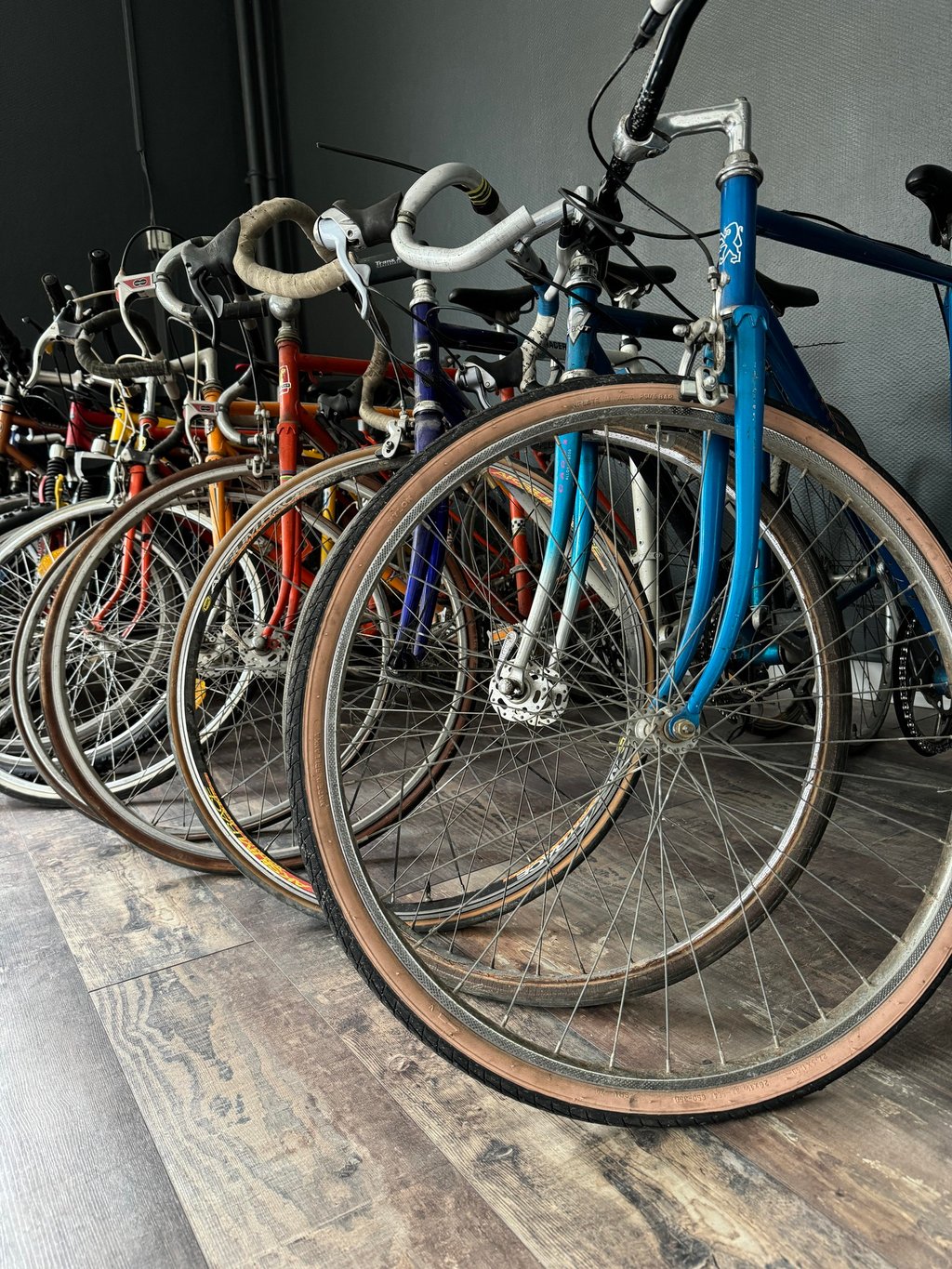 A row of vintage road bikes with thin tires and drop handlebars lined up in a bicycle shop.