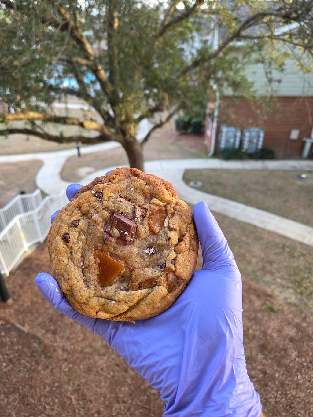 Salted caramel chocolate chunk cookie