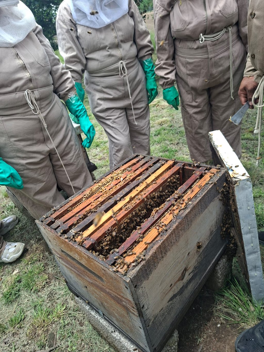 ruta de la miel tlaxcala, personos con traje de apicultura observado abejas en criaderos
