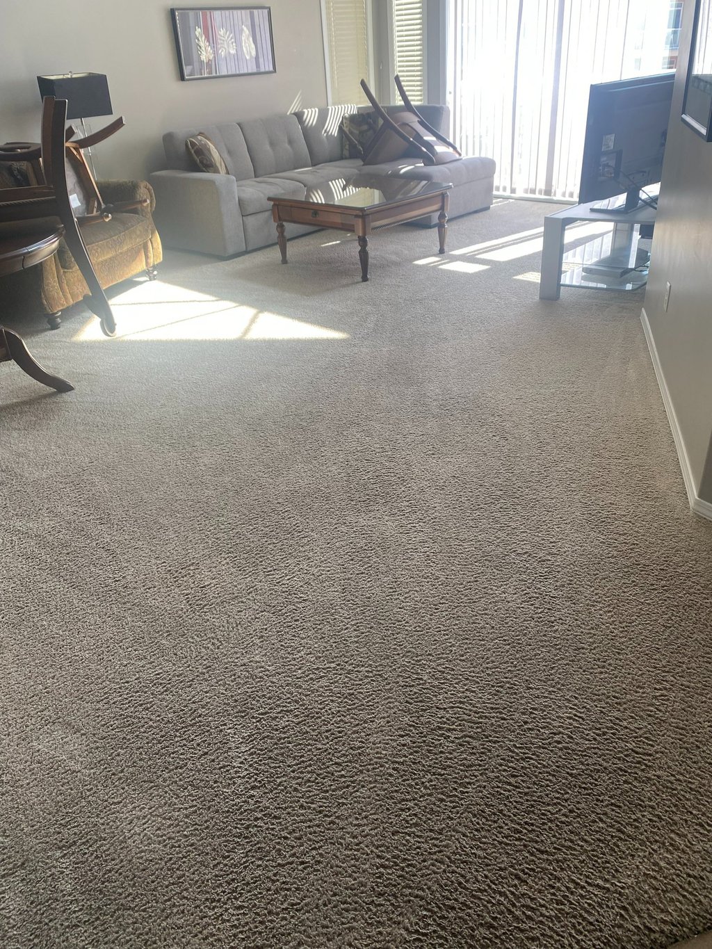 Image of a freshly cleaned carpet in an okanagan apartment