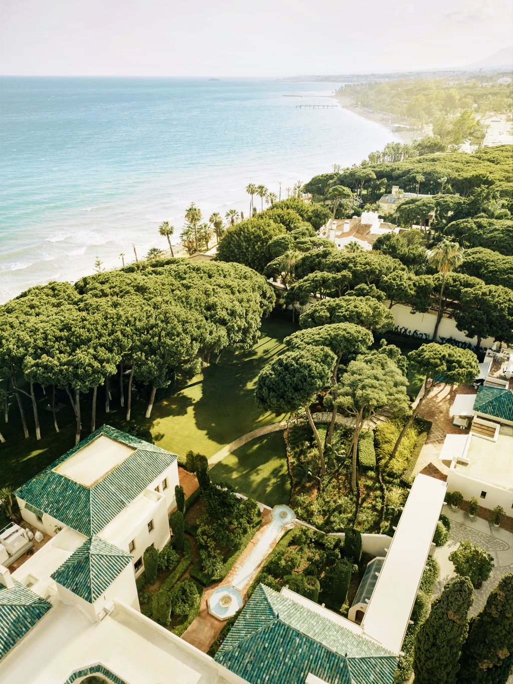 Aerial view of beachfront estate with pine grove and Mediterranean coastline