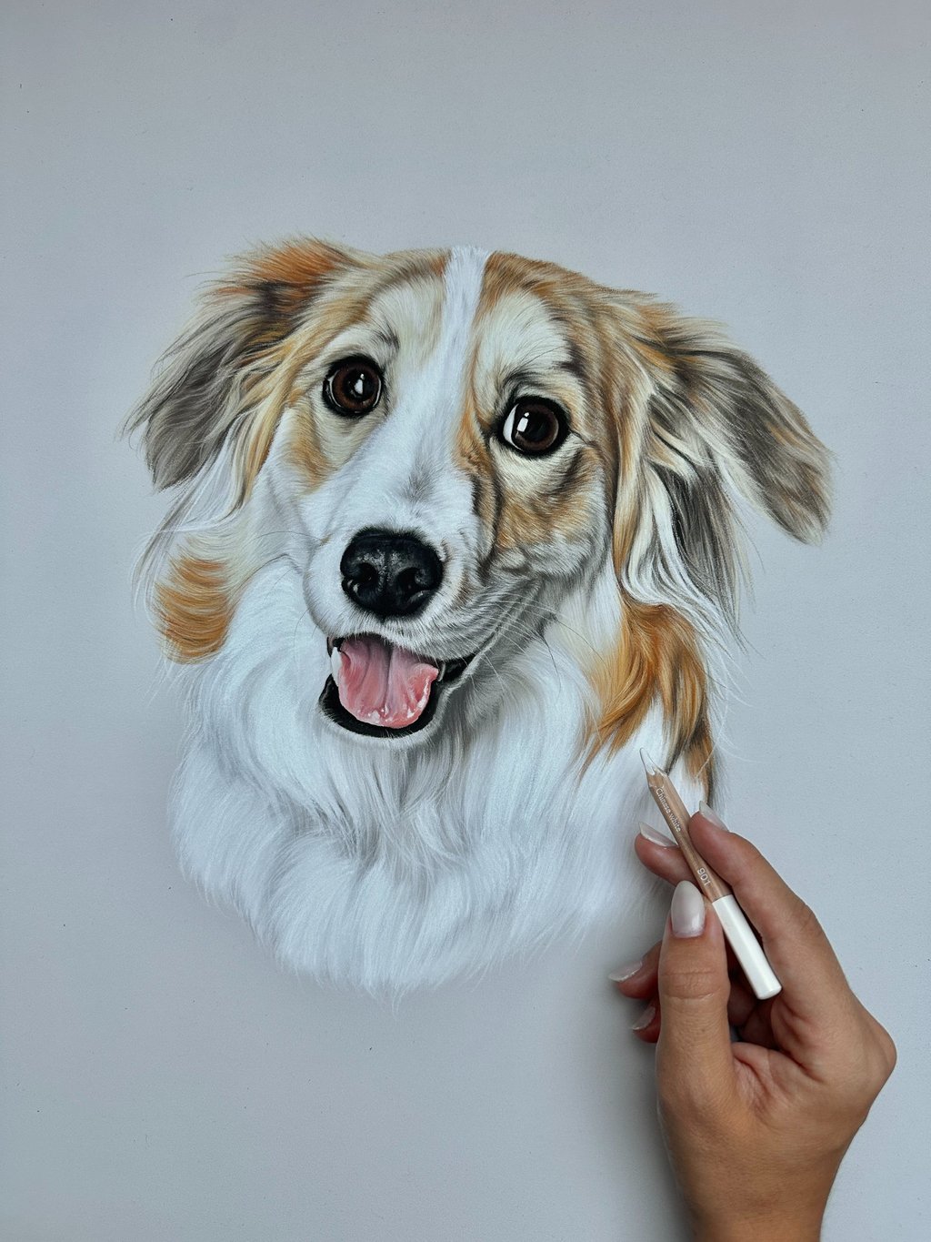 Pet portrait commission