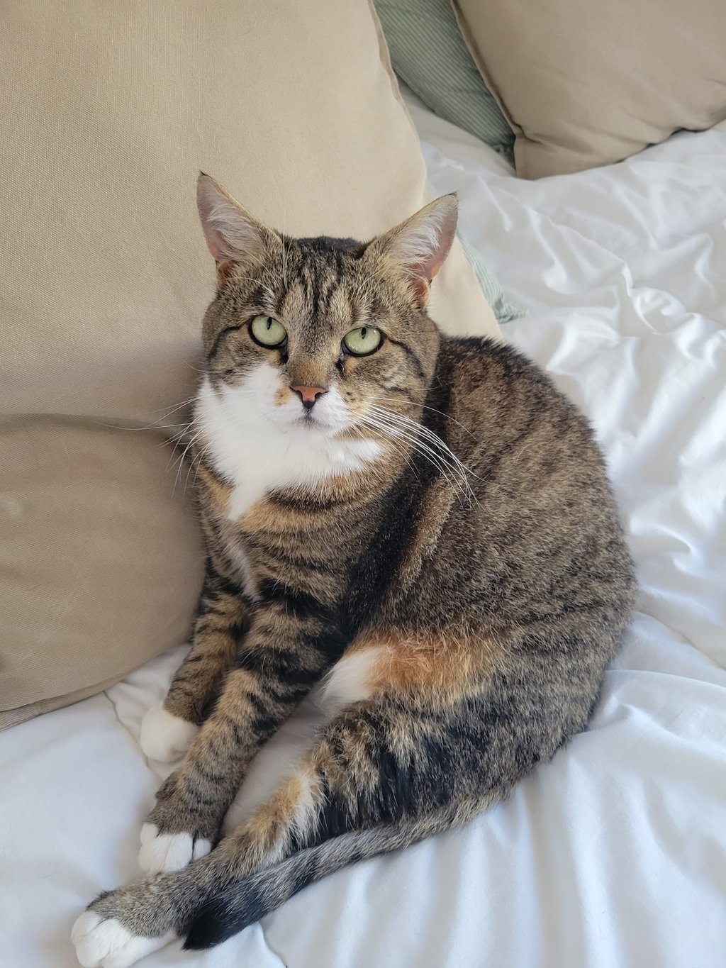 Nina-assistante voyage