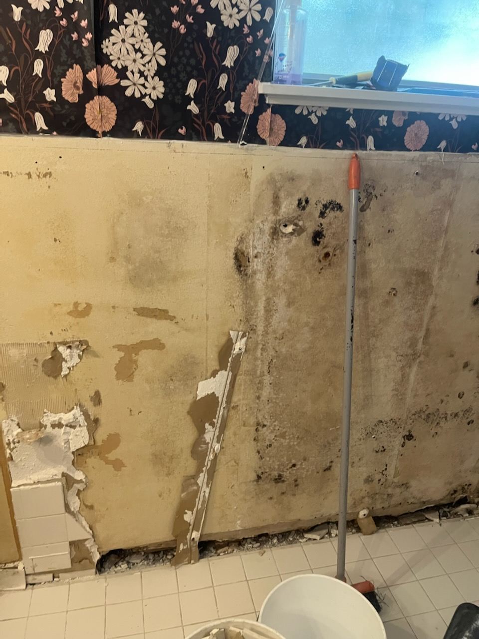 Mold discovered behind cabinets