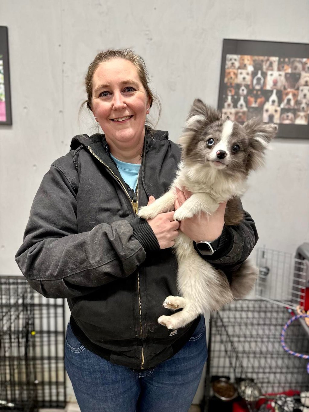 Beginner 4 week dog training course.