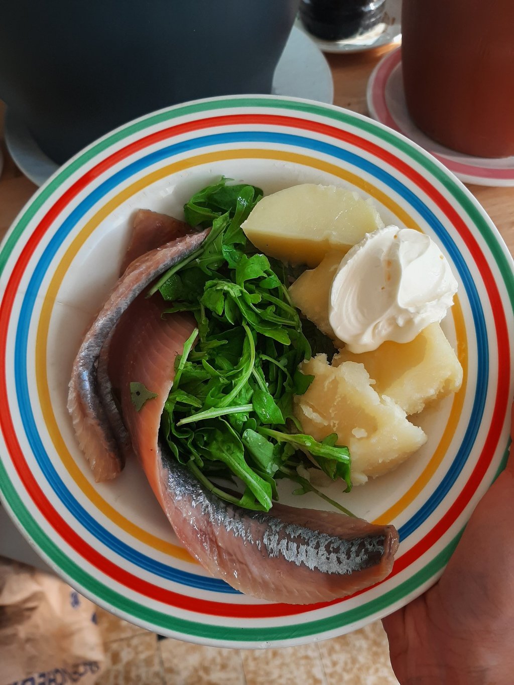 Assiette avec du poisson et des légumes alimentation Céline Navarro Naturopathe