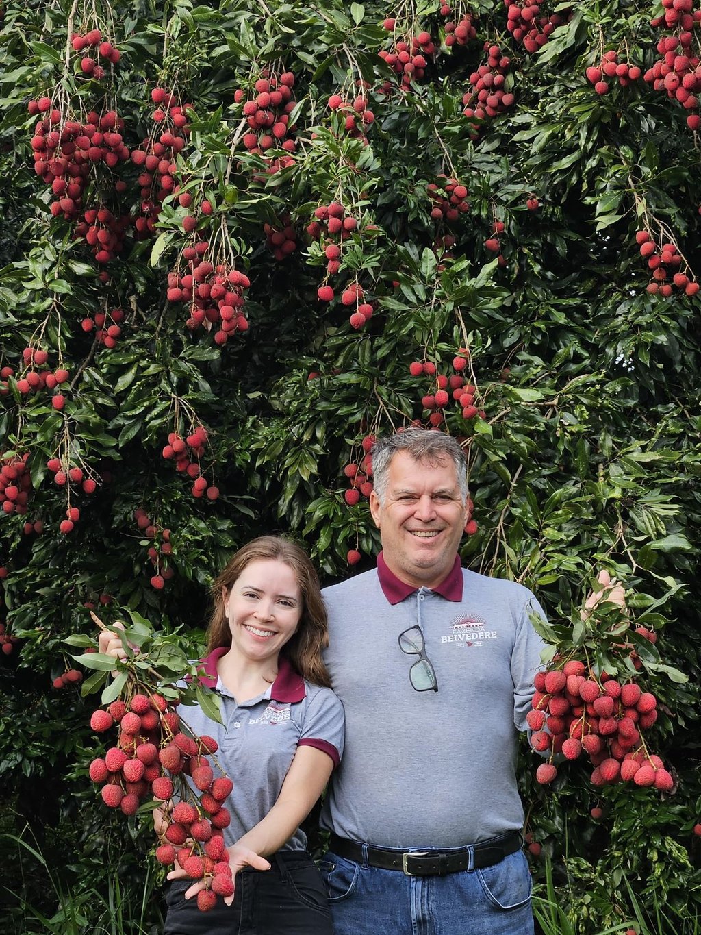Fazenda de lichias no Brasil