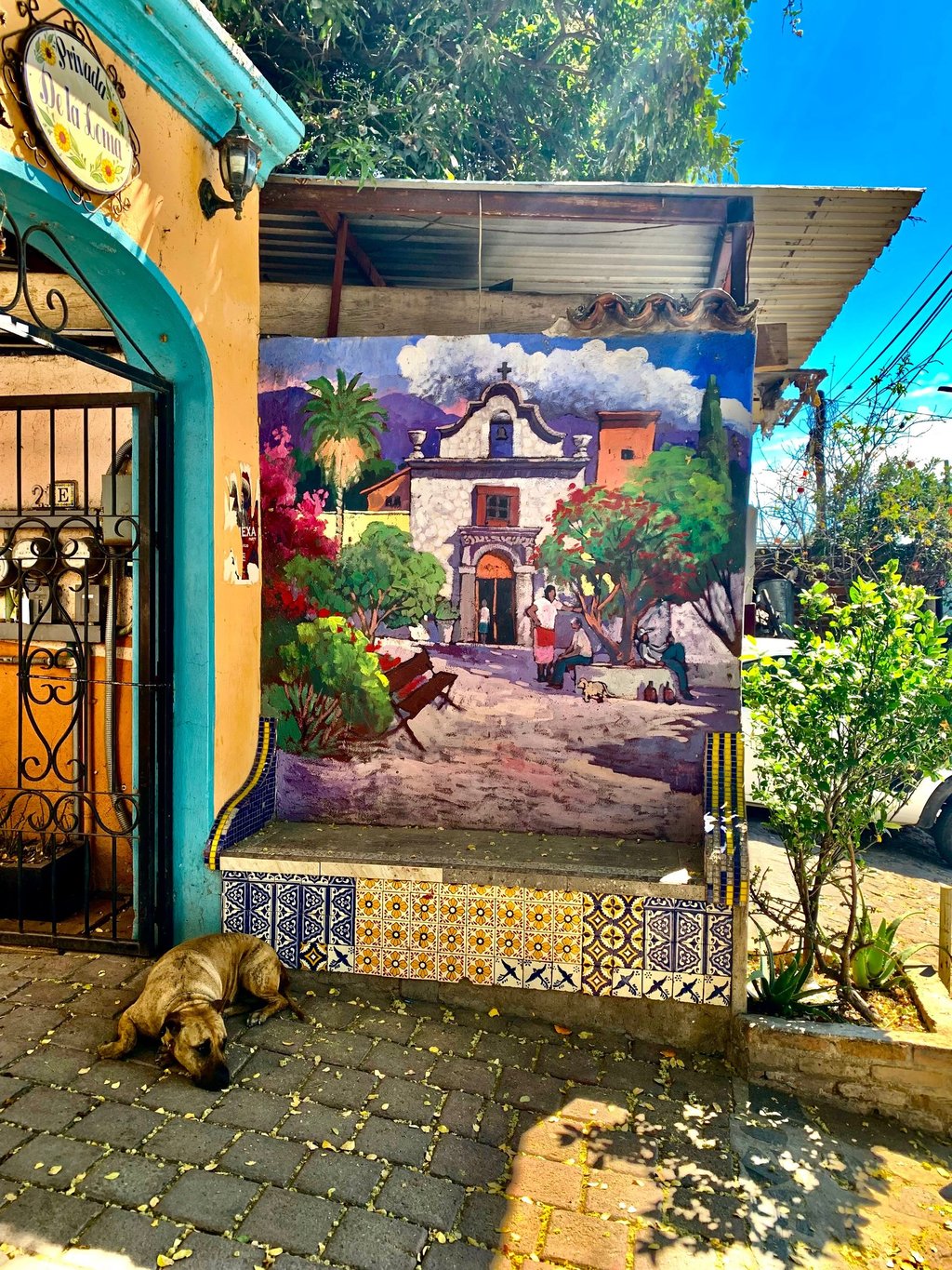 Wander around Ajijic