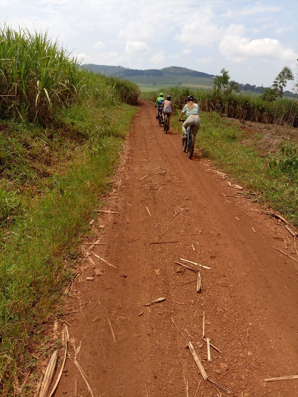 Cycling in Sugar canes in Jinja