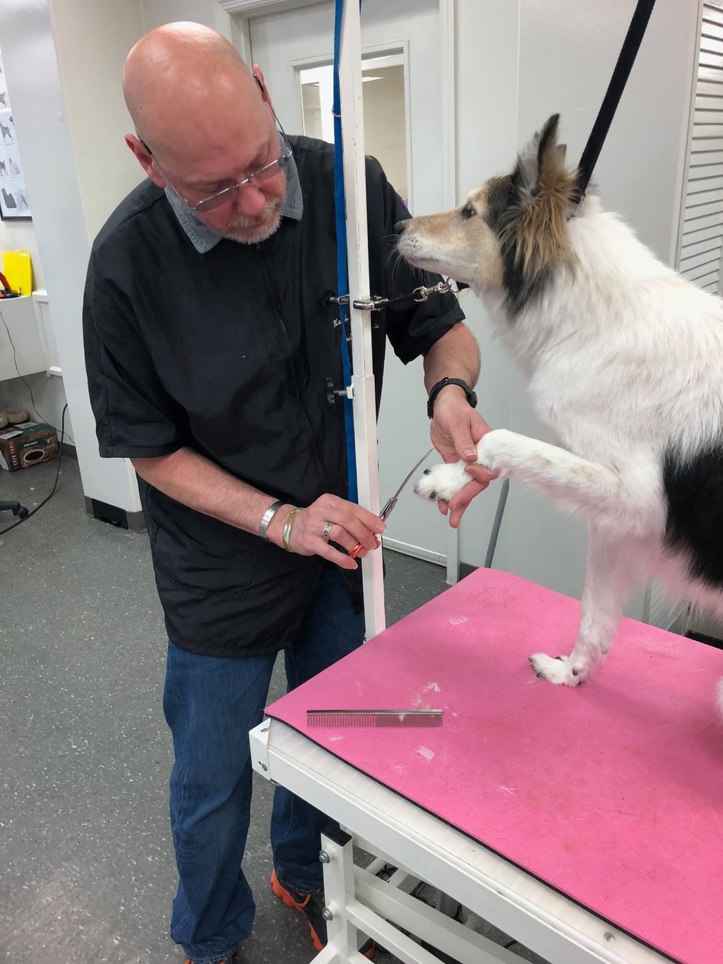 Jody does a final trim on a dog's paw hair.