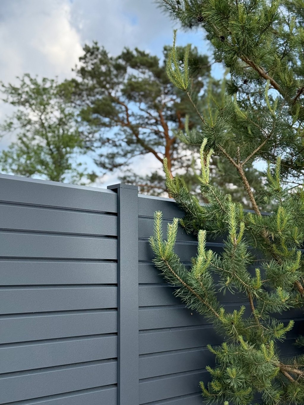 tvora rombas antracito RAL7016 Vilnius