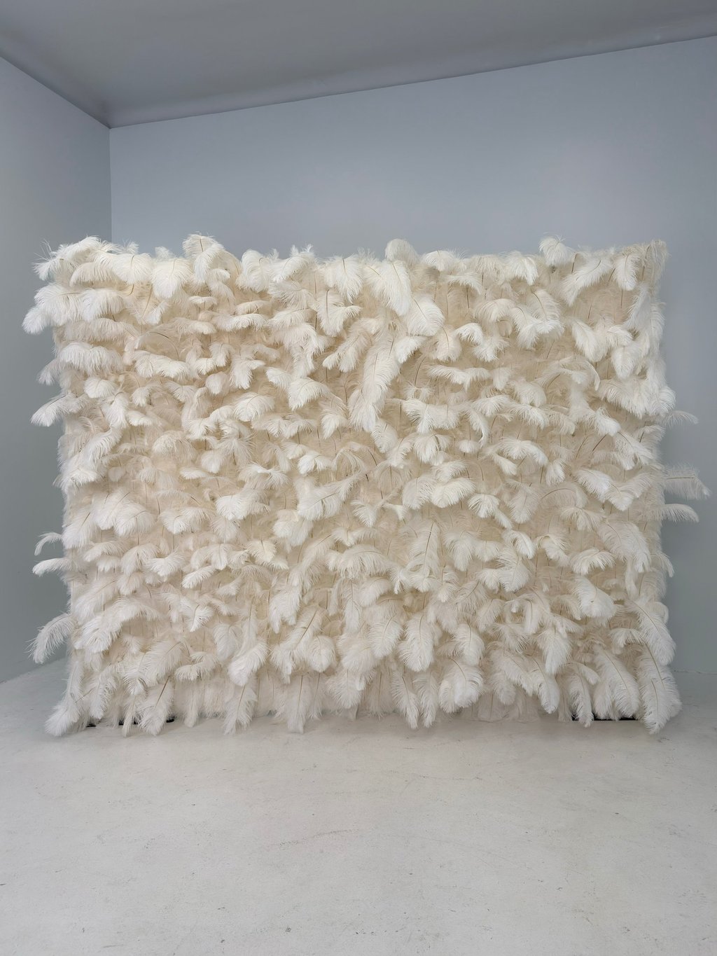 Plunksnų foto siena, plunksnų foto sienelė, foto siena gimtadieniui, isskirtine foto siena, dekoras