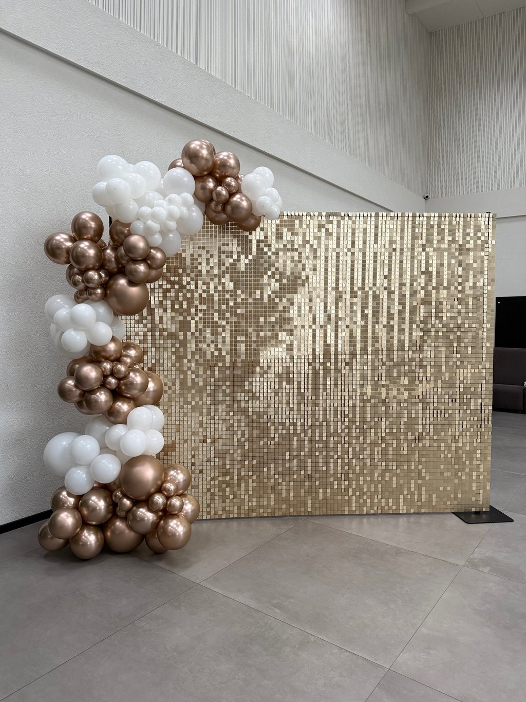 Blisgu, sampanine foto siena, foto sienele vilniuje, blisgu foto sienele, balionu arka